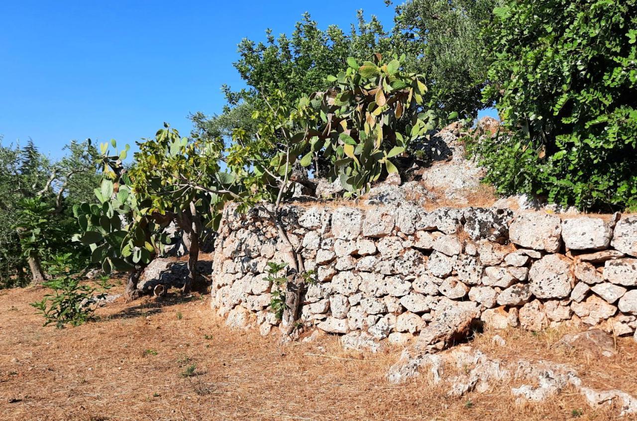 I Due Carrubi Villa Ostuni Buitenkant foto