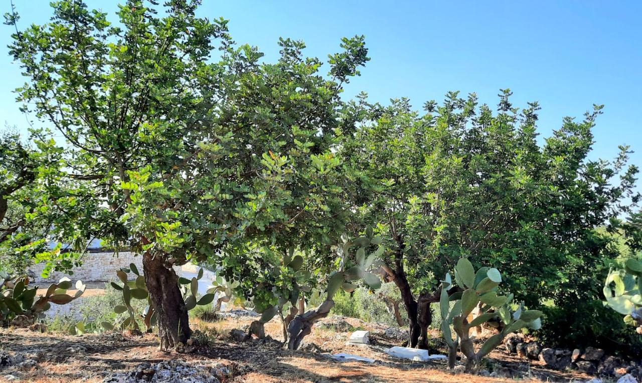 I Due Carrubi Villa Ostuni Buitenkant foto